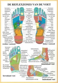 De reflexzones van de voet
